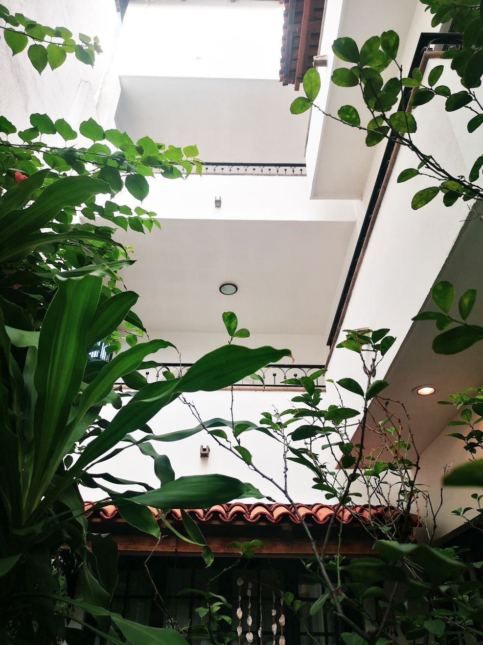 5ff620144de96600214d420d_optimized_987_c987x1316-0x0