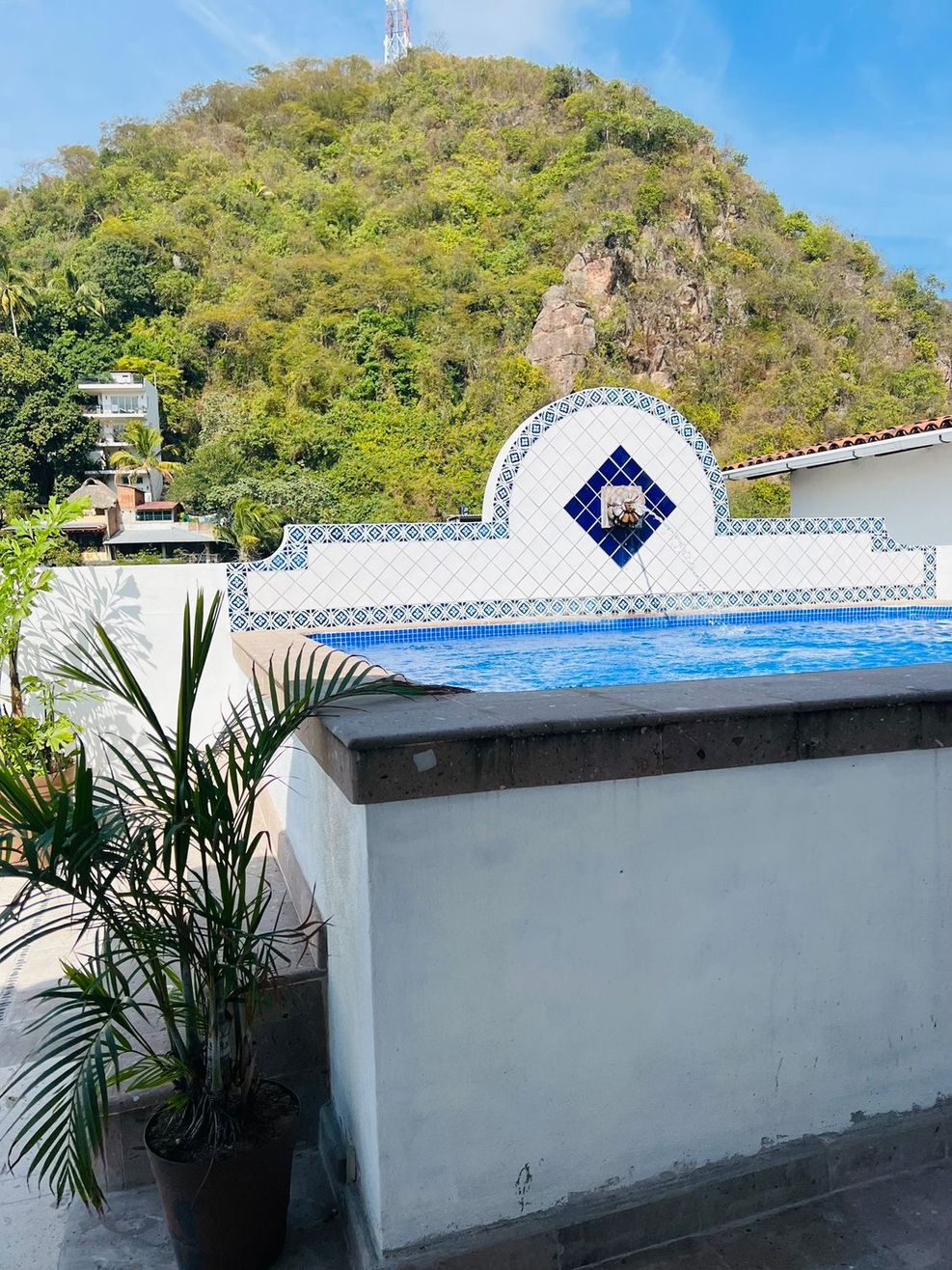 66056fc2338b27000f9ab285_optimized_987_c987x1316-0x0