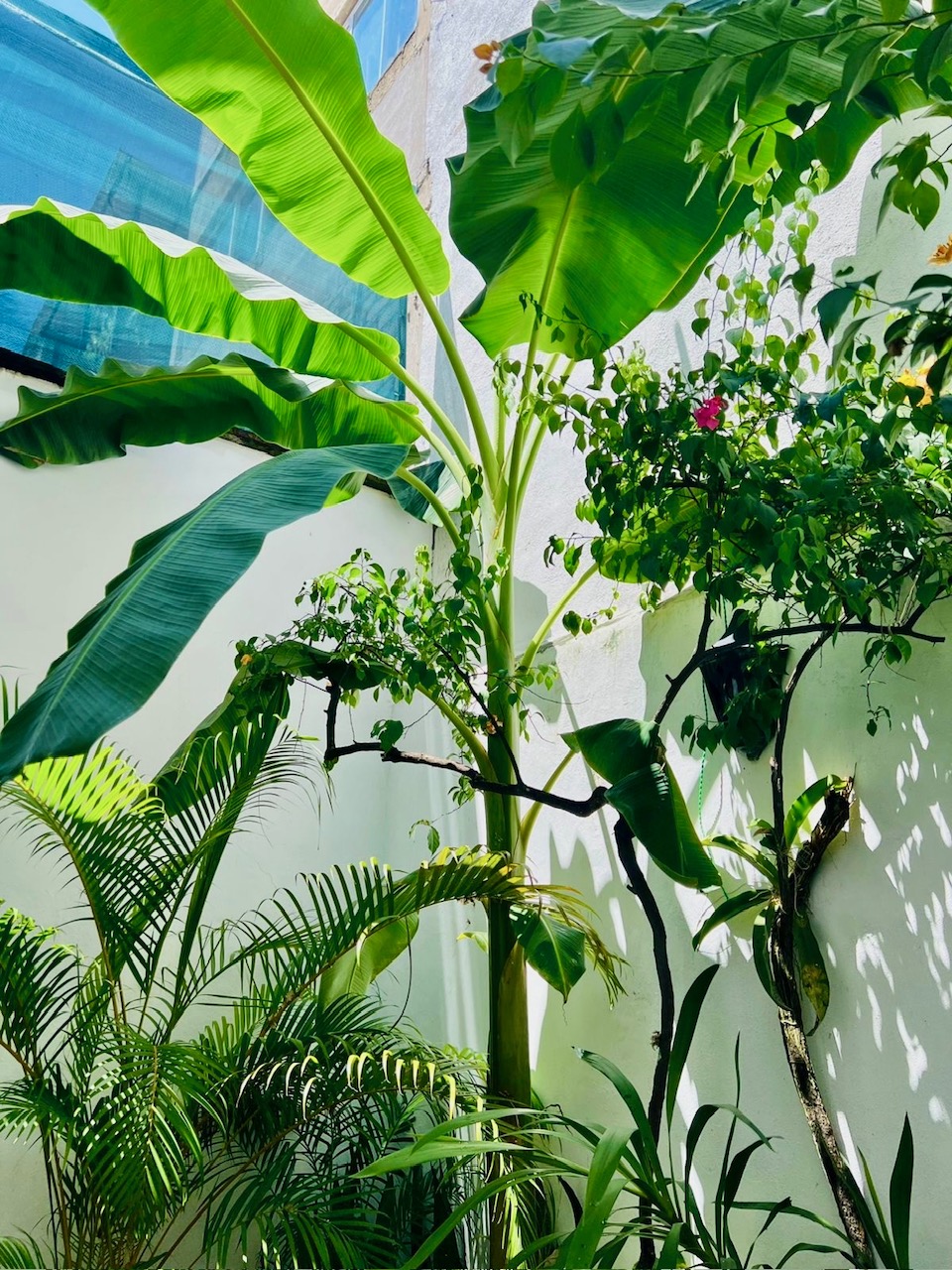 05c56769-ac52-4b86-8501-db8661163d17