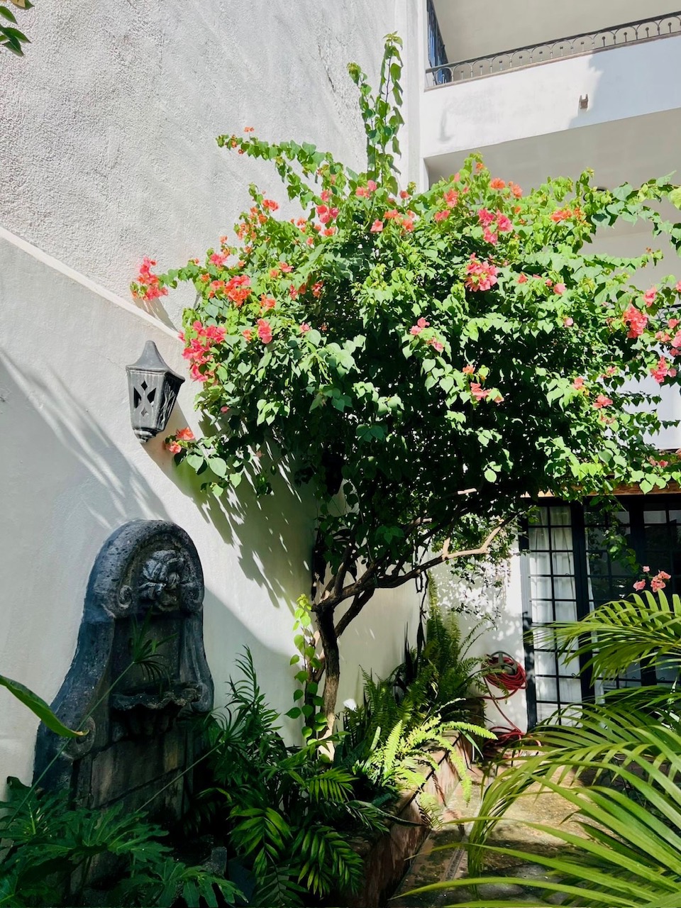 81bb5825-d0b3-4a35-8fec-e12fdfc7754a