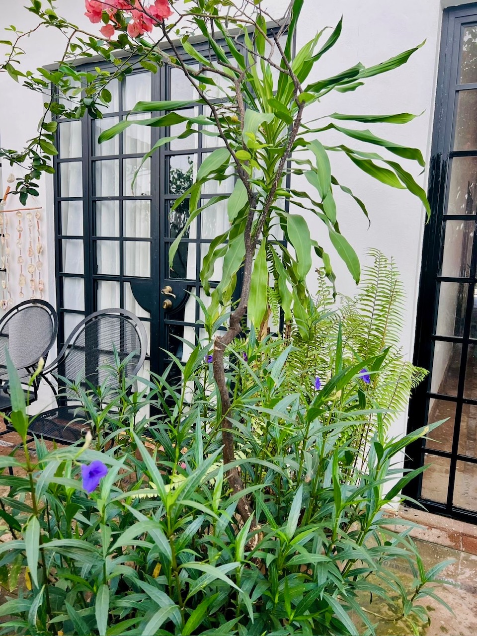 980dfe87-e553-42be-af00-63c283a7ebc1