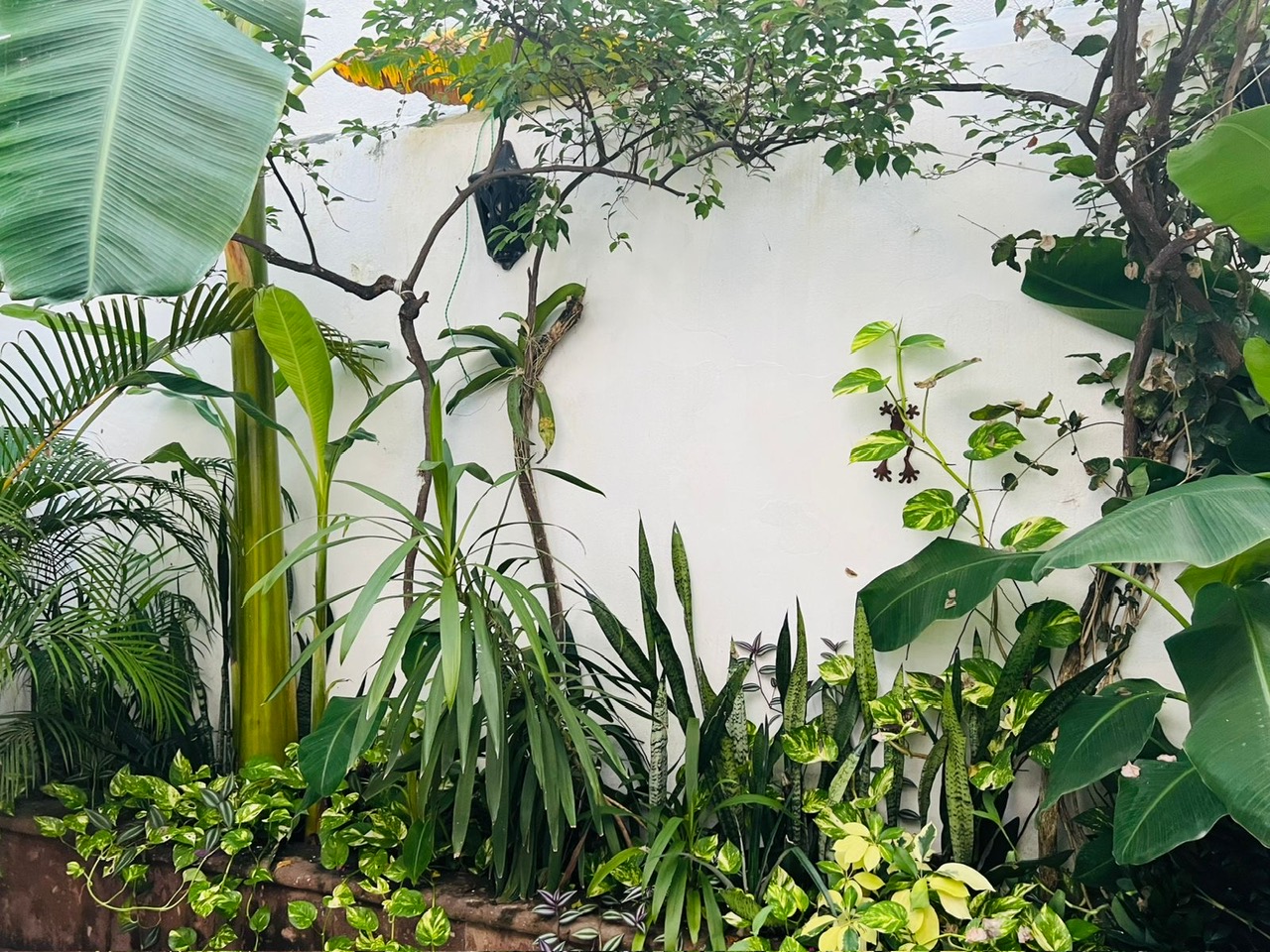 b7c5132a-ea73-43fa-9b7e-a12f2606a5db