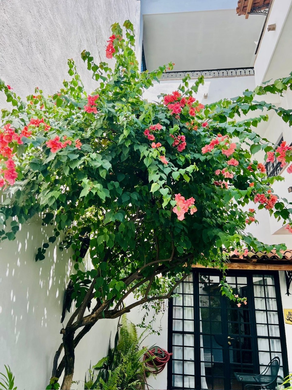 bea18f06-f27b-46db-8c34-807c0cf3172a