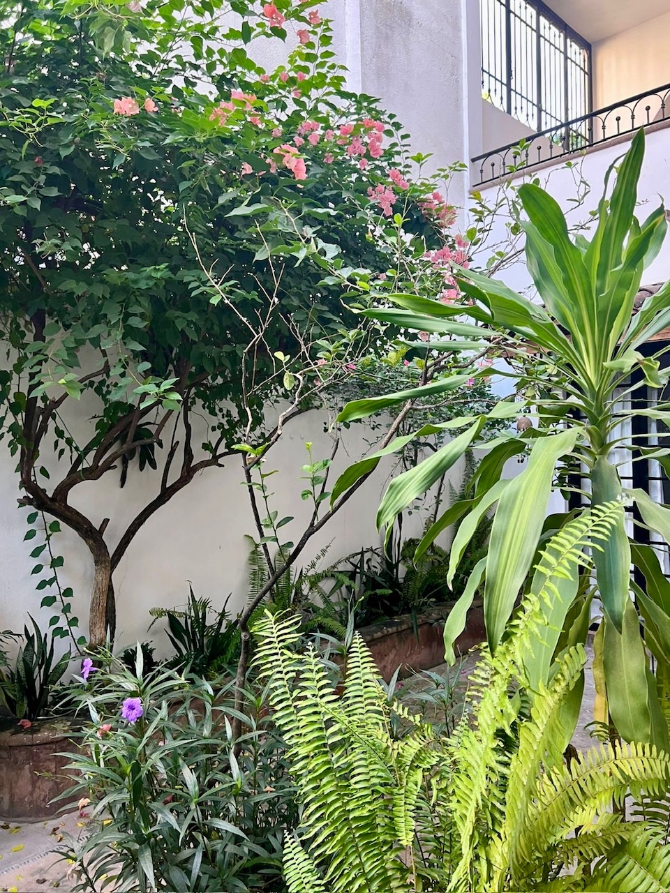 d60ba150-b606-497a-bb1c-68b84fedf818